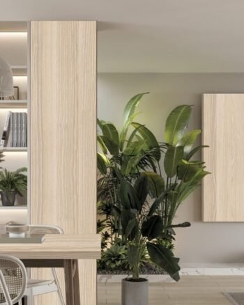 A396 Carmen Frz Medelam 1