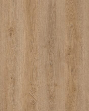 A476 PALMIRA Vnr Medelam